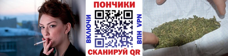 Купить закладку Гашиш  Конопля  Кокаин  МЕФ  Кемерово